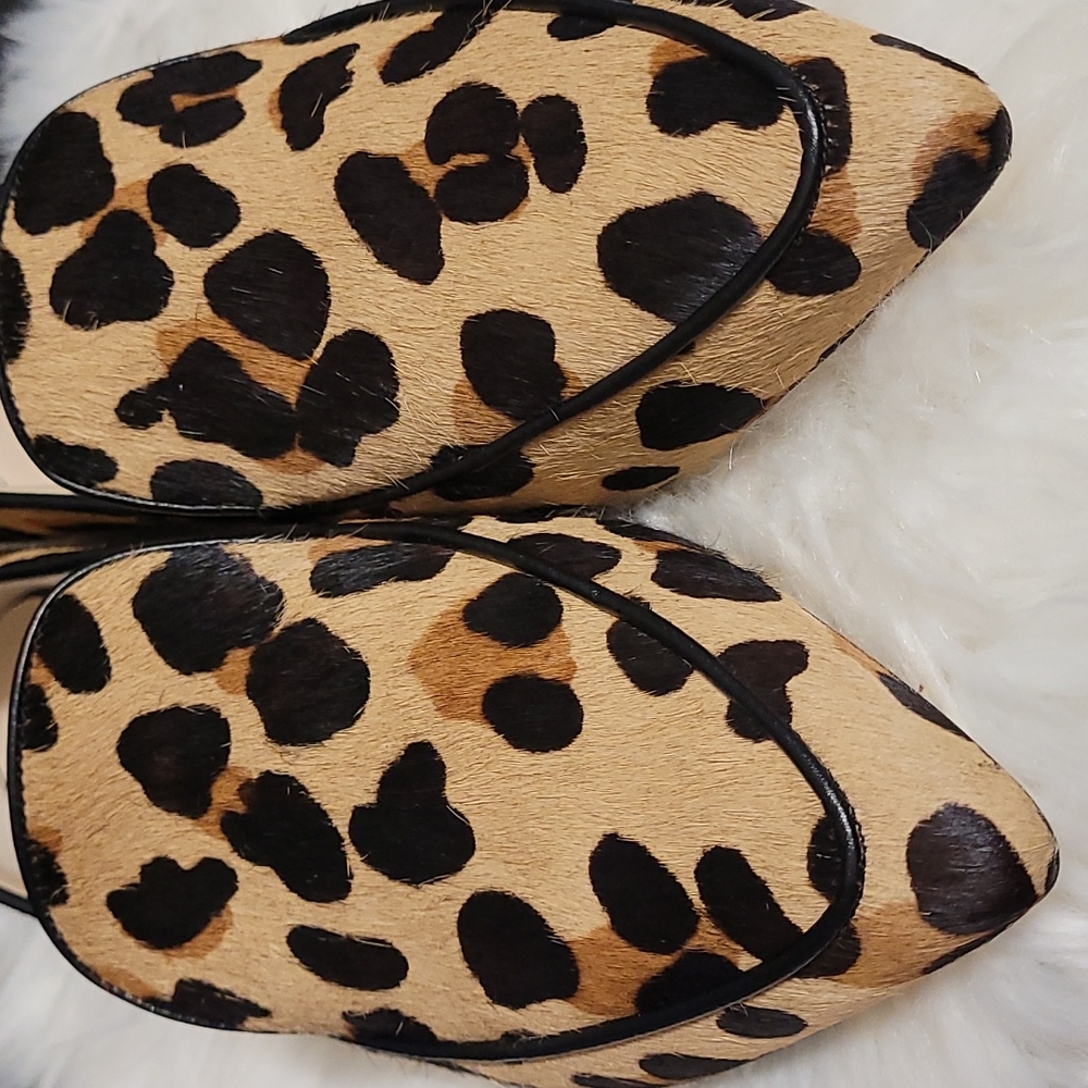 Cole Haan Leopard Print Flats - Picture 7 of 9